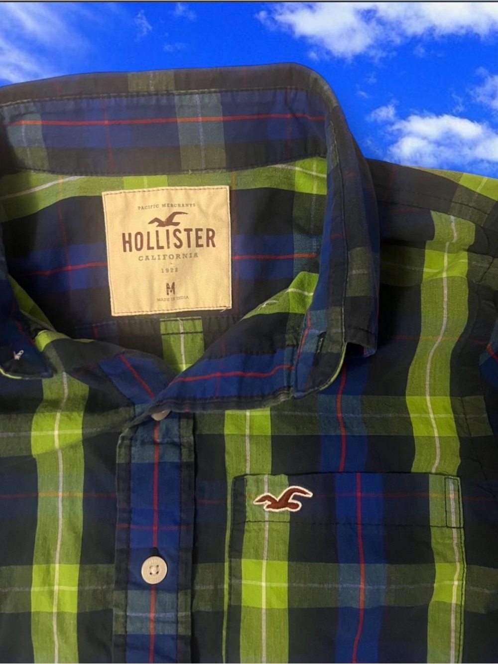 Hollister Green & Blue Plaid Cotton Button-Down Shirt